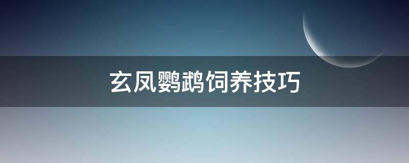 玄凤鹦鹉饲养技巧（玄凤鹦鹉如何饲养）