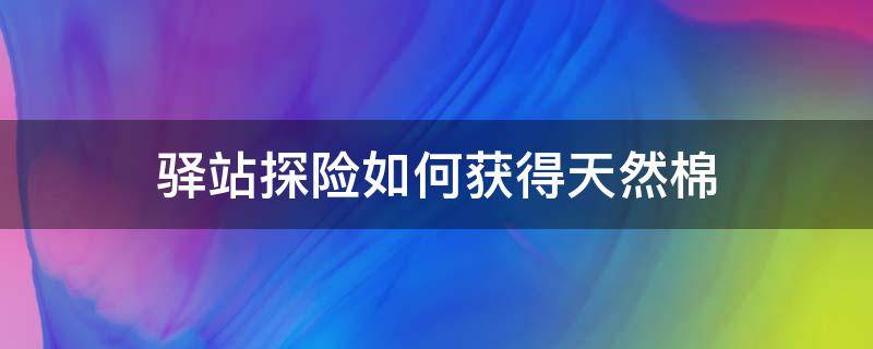 驿站探险如何获得天然棉 驿站宝箱位置
