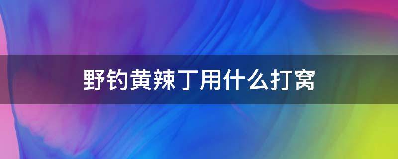 野钓黄辣丁用什么打窝 野钓黄辣丁用什么打窝最好