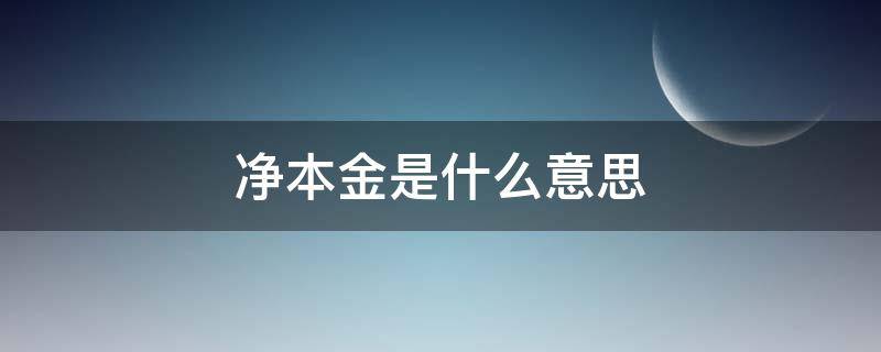 净本金是什么意思 什么叫净本金