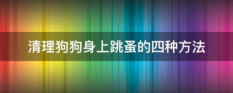 清理狗狗身上跳蚤的四种方法 狗狗身上的跳蚤怎么去除简单方法