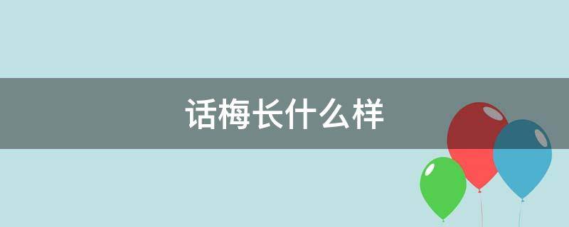 话梅长什么样 话梅长什么样子?