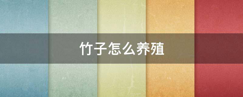 竹子怎么养殖（竹子怎样养殖）