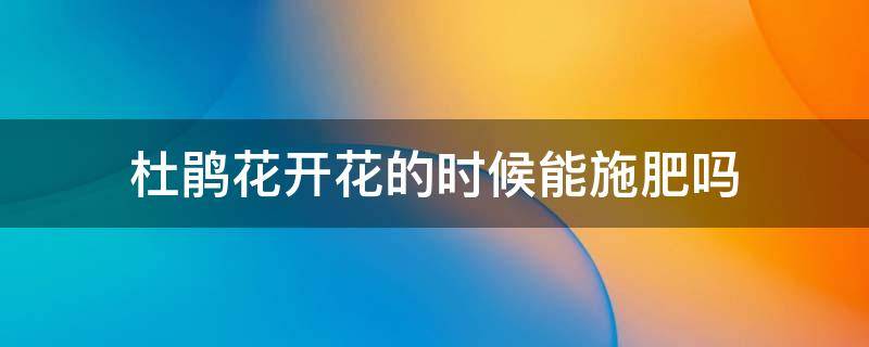 杜鹃花开花的时候能施肥吗 杜鹃花开花的时候施什么肥