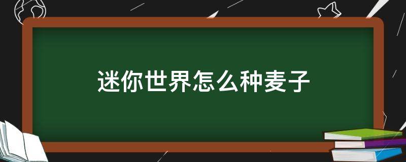 迷你世界怎么种麦子（迷你世界怎么种麦子最快）