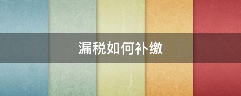 漏税如何补缴（漏税如何补税）