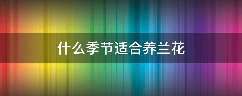 什么季节适合养兰花（兰花这个季节怎么养）