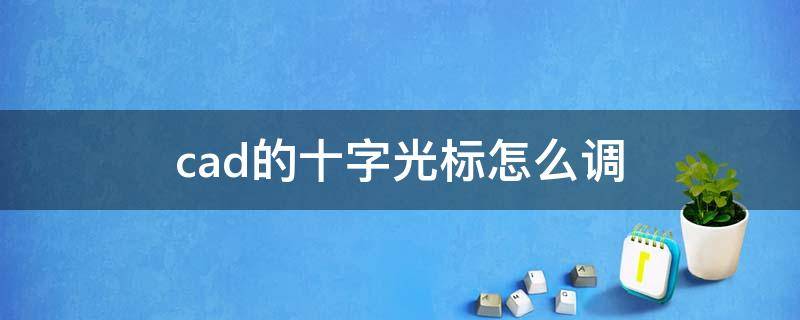 cad的十字光标怎么调（cad的十字光标怎么调出来）