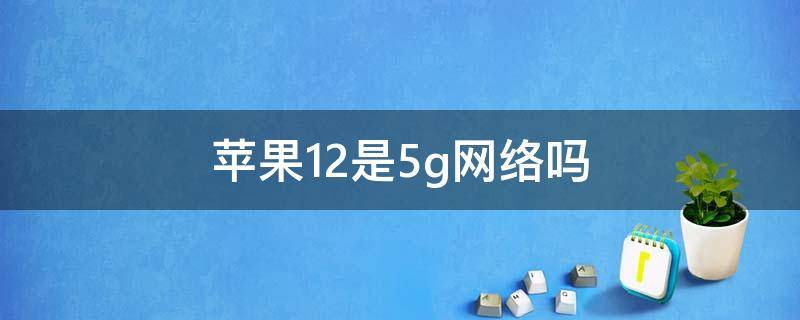 苹果12是5g网络吗 苹果12是5g网?
