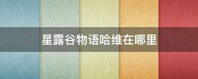 星露谷物语哈维在哪里 星露谷物语哈维尔