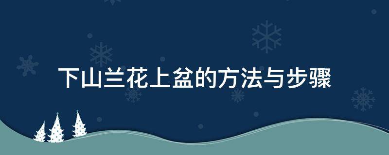 下山兰花上盆的方法与步骤（刚下山兰花上盆方法）