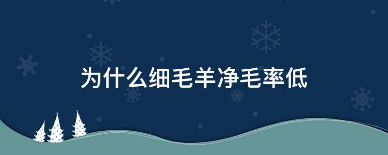 为什么细毛羊净毛率低 细羊毛好不好