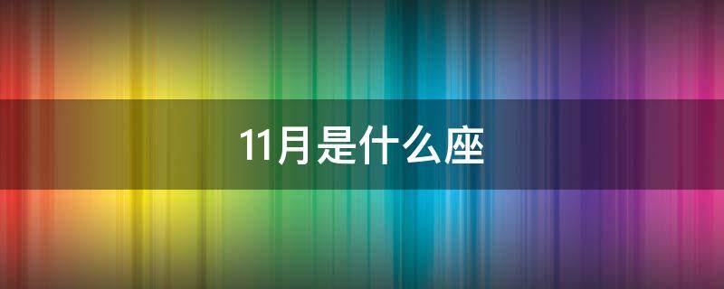 11月是什么座 11月是什么座的