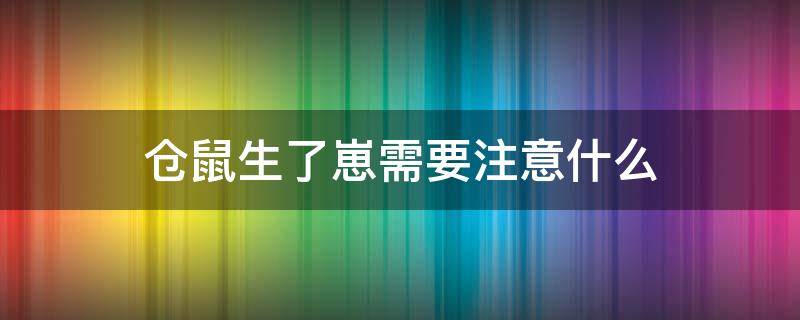 仓鼠生了崽需要注意什么 仓鼠生崽要准备什么