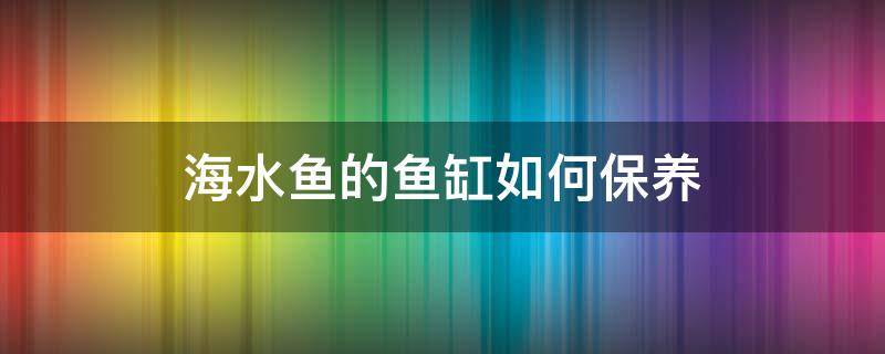 海水鱼的鱼缸如何保养（海水鱼缸平时怎么维护）