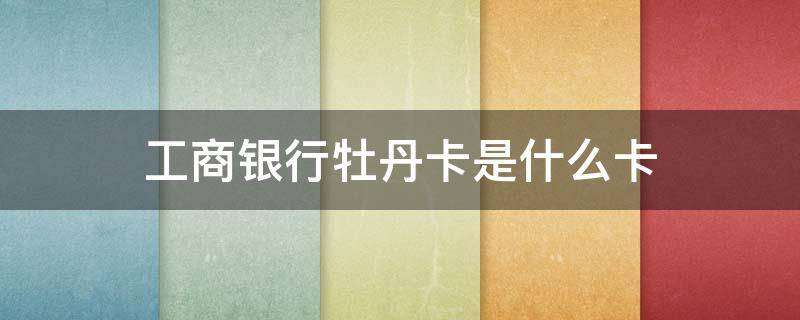 工商银行牡丹卡是什么卡（工商银行牡丹卡是什么卡为什么只有16位数字）