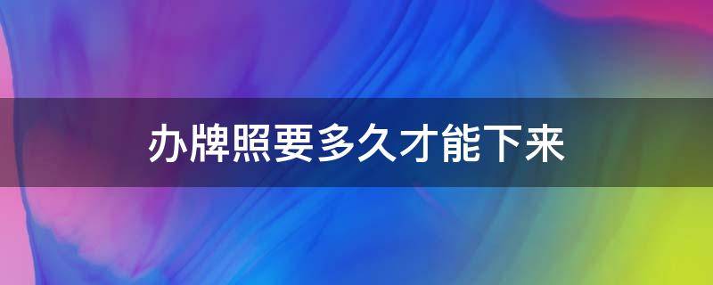 办牌照要多久才能下来（办理牌照多久能下来）