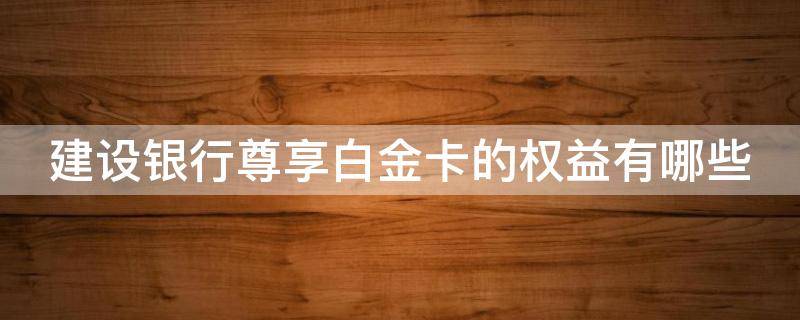 建设银行尊享白金卡的权益有哪些（建行尊享白金卡申请条件）