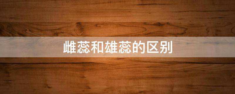 雌蕊和雄蕊的区别 雌蕊和雄蕊怎么区别