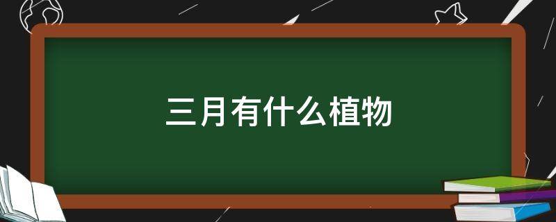 三月有什么植物 三月有什么植物在抽枝