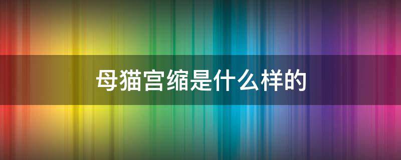 母猫宫缩是什么样的（母猫宫缩是怎么样的）
