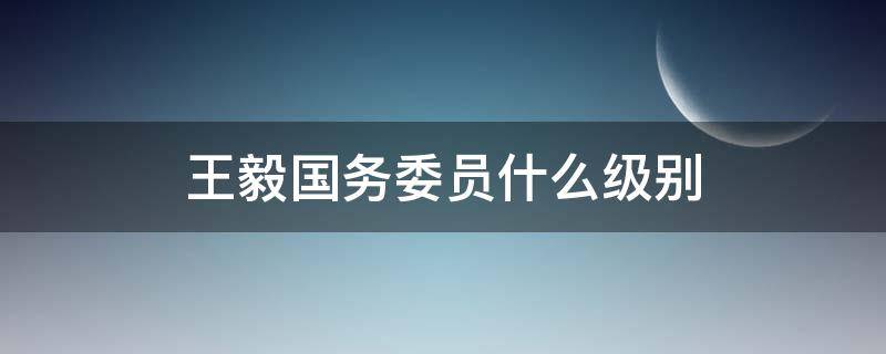 王毅国务委员什么级别