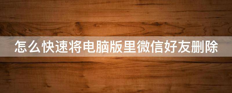 怎么快速将电脑版里微信好友删除 电脑微信好友怎么删除掉