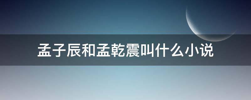孟子辰和孟乾震叫什么小说（哪部小说主角叫孟辰）