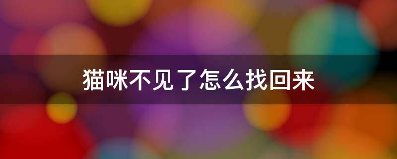 猫咪不见了怎么找回来（农村猫咪不见了怎么找回来）