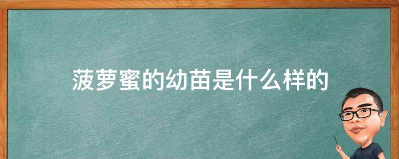 菠萝蜜的幼苗是什么样的 菠萝蜜的苗子是什么样的