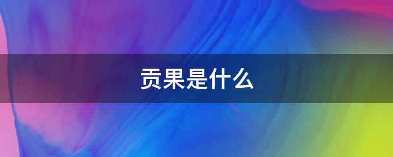 贡果是什么 贡果是什么东西