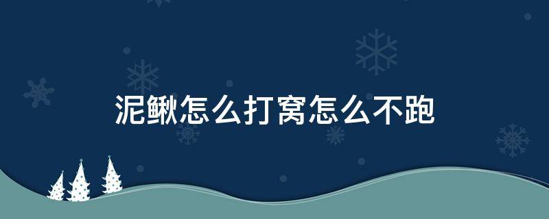 泥鳅怎么打窝怎么不跑（泥鳅打窝泥鳅不跑吗）