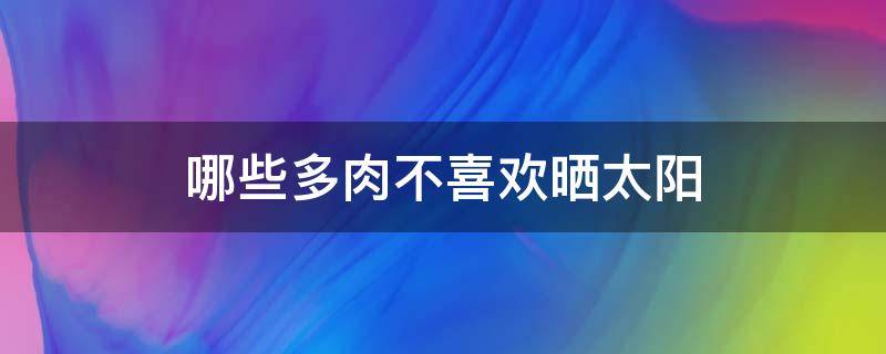 哪些多肉不喜欢晒太阳（哪些多肉不怕晒太阳）