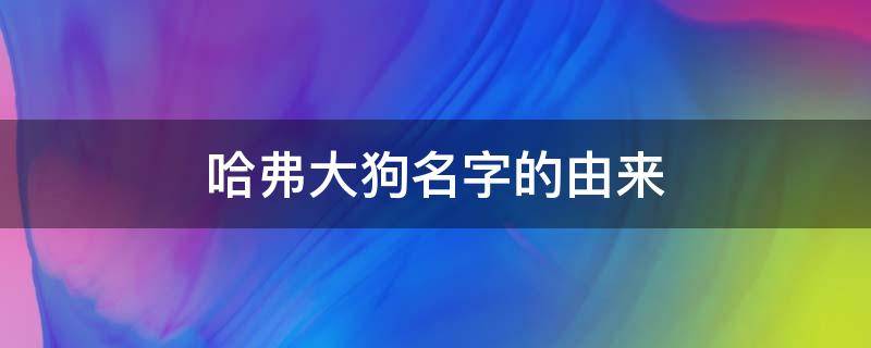 哈弗大狗名字的由来（哈弗大狗名字是谁起的）
