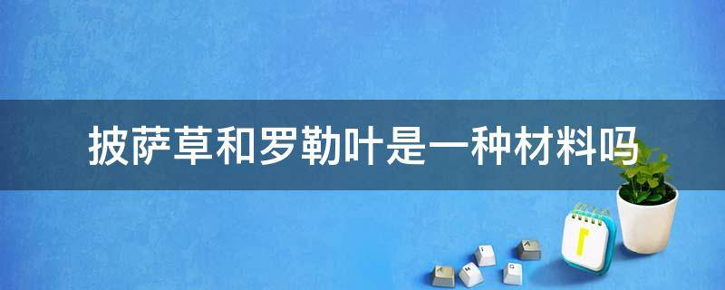 披萨草和罗勒叶是一种材料吗（罗勒叶和披萨草叶有什么区别）