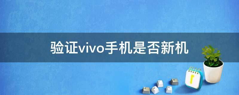 验证vivo手机是否新机 验证vivo手机是否新机老北京布鞋的代销点