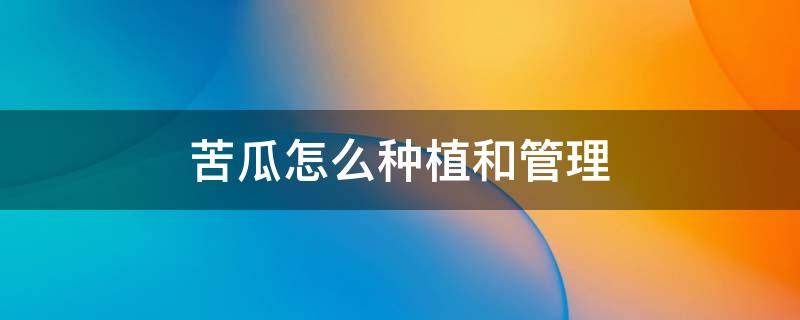 苦瓜怎么种植和管理 苦瓜怎么种植和管理种