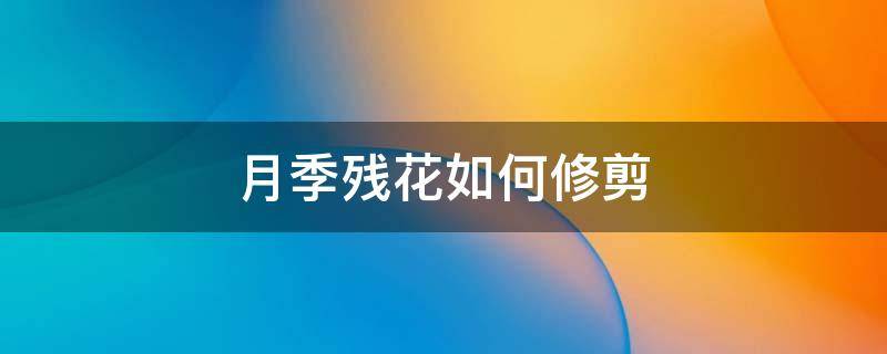 月季残花如何修剪（月季花修剪技巧）