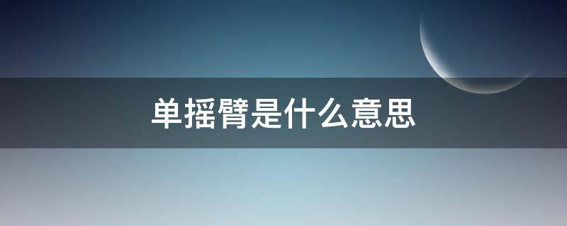 单摇臂是什么意思 赛250单摇臂是什么意思