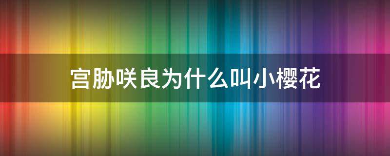 宫胁咲良为什么叫小樱花 宫胁咲良为什么叫黑樱