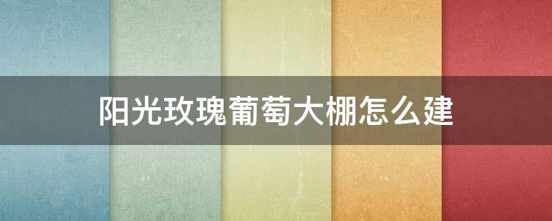 阳光玫瑰葡萄大棚怎么建（阳光玫瑰葡萄用大棚栽种如何）
