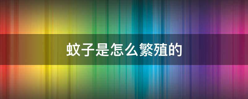 蚊子是怎么繁殖的 蚊子是怎么繁殖的视频