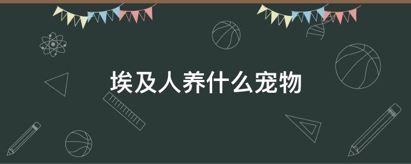 埃及人养什么宠物 埃及猫怎么饲养
