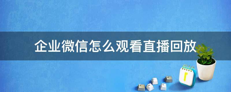 企业微信怎么观看直播回放（企业微信如何观看直播回放）