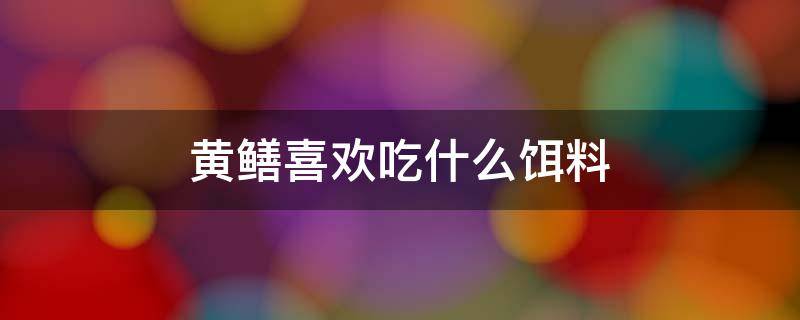 黄鳝喜欢吃什么饵料 黄鳝喜欢吃什么饵料日