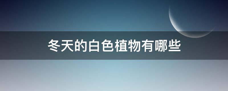 冬天的白色植物有哪些 哪些植物是白色