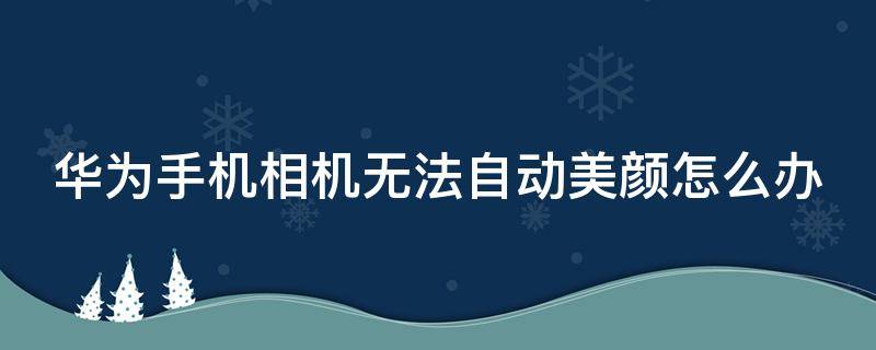 华为手机相机无法自动美颜怎么办 华为手机照片美颜不了