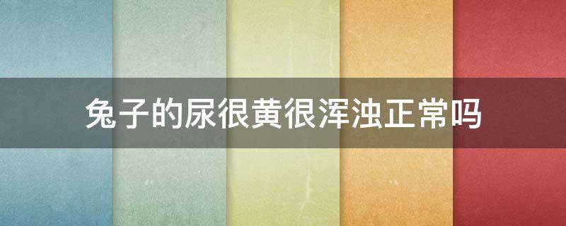 兔子的尿很黄很浑浊正常吗 兔子尿浑浊发黄