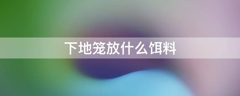 下地笼放什么饵料（下地笼里面放什么诱饵好）