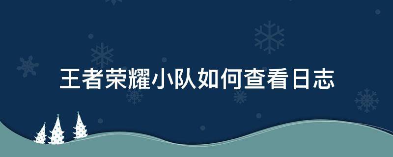 王者荣耀小队如何查看日志（王者荣耀小队操作日志怎么删除）